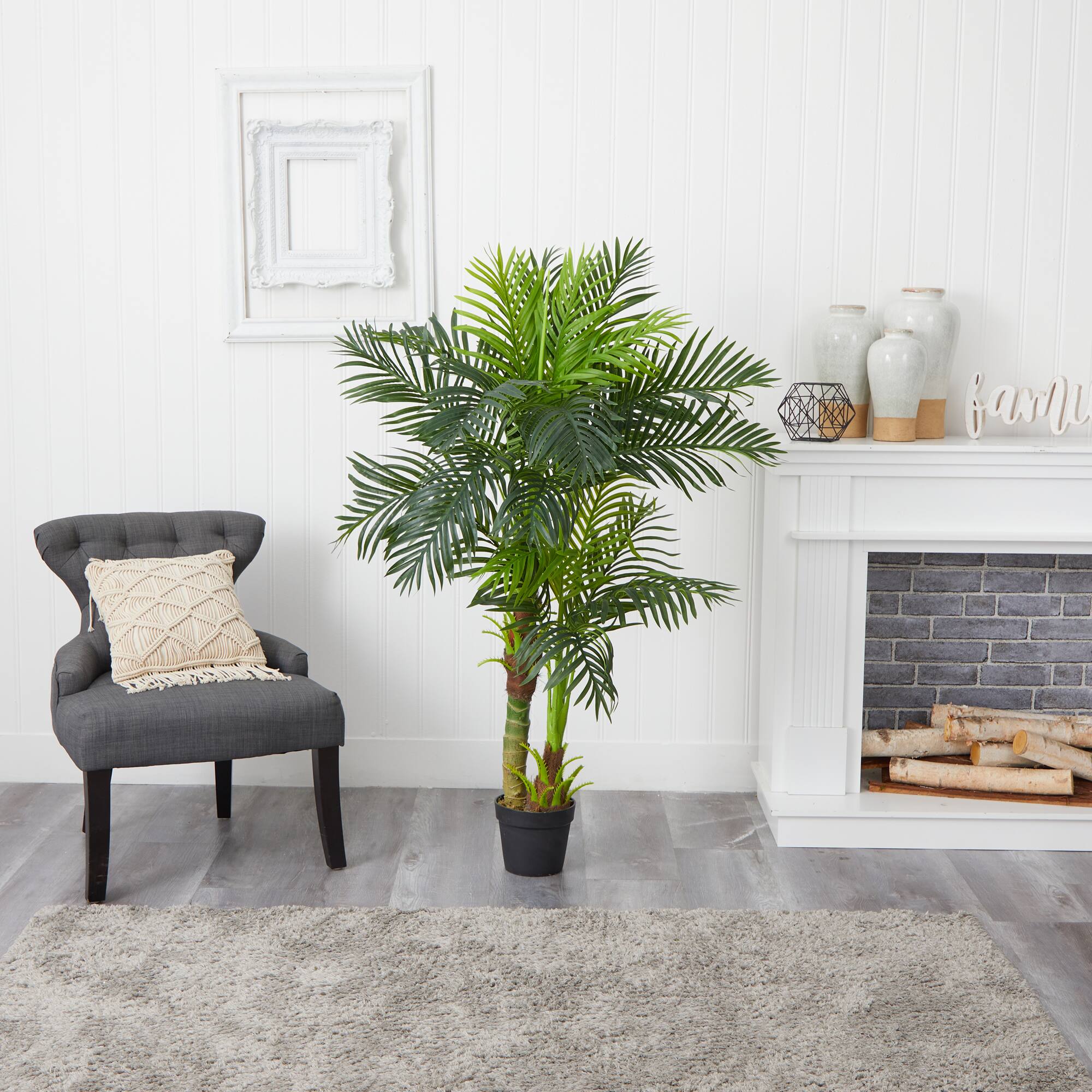 5ft. Potted Double Stalk Hawaii Palm Tree